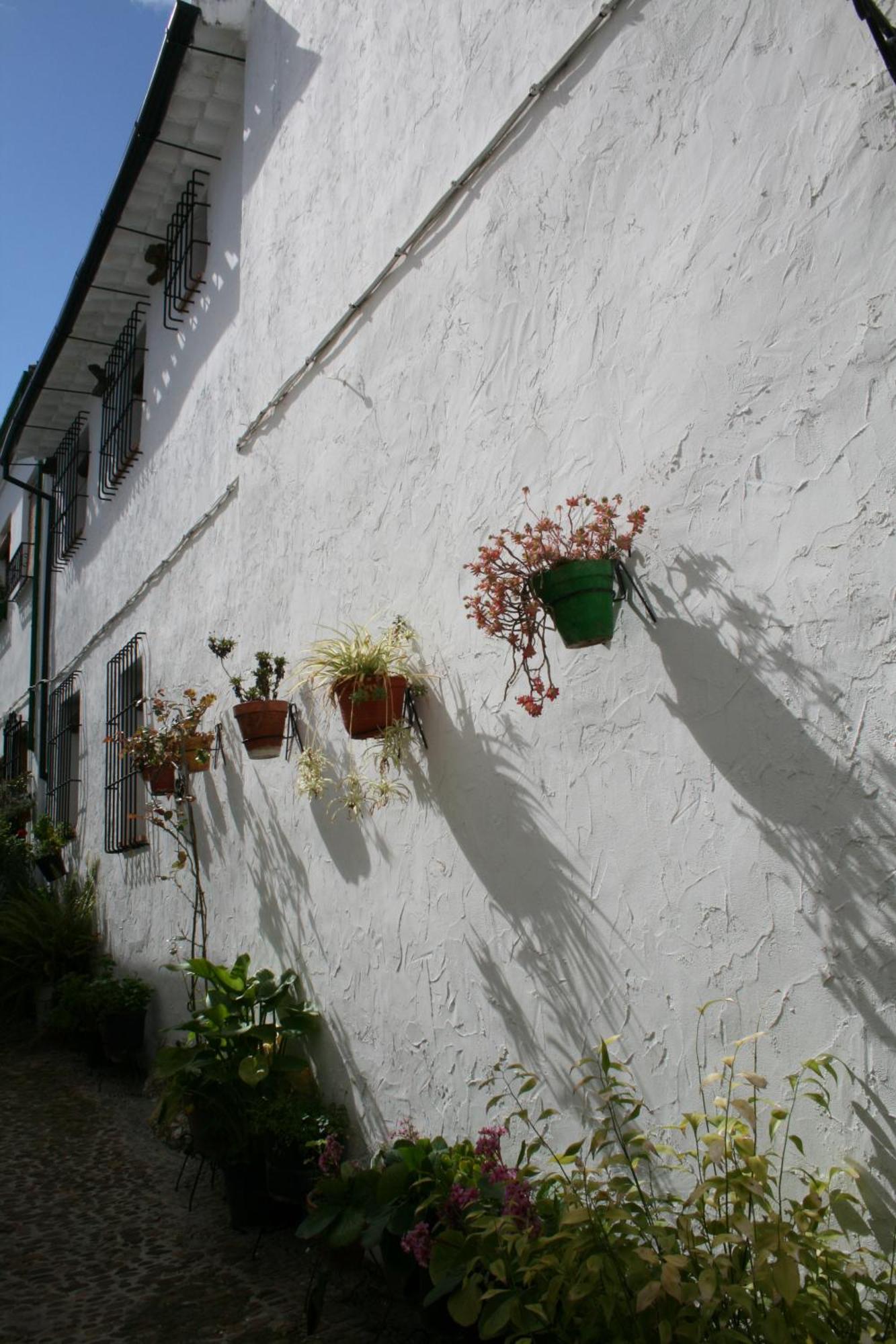 Casa Rural Zambra Priego de Córdoba Dış mekan fotoğraf