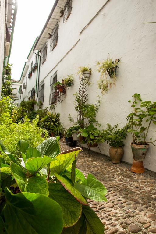 Casa Rural Zambra Priego de Córdoba Dış mekan fotoğraf